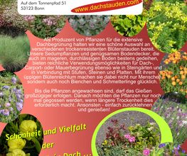 Staudengärtnerei David Müller Bild 6