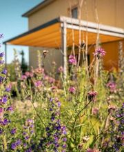 Artenreich Bolinger Gärten AG Bild 1