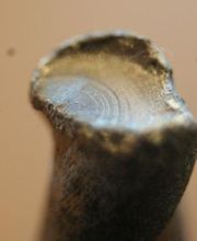 Ermüdungsbruchfläche eines Bohrers mit Rastlinien