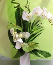 Laurence Fleurs image 1