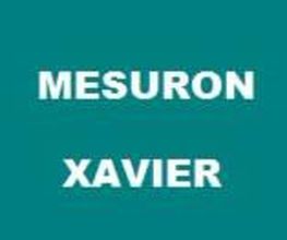 Mesuron Xavier image 1