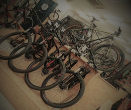 Velo Styl image 4