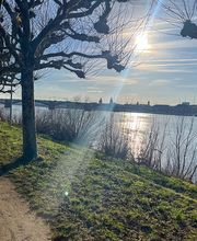 Nachhilfeinstitut Faultier Bild 5