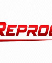 Auto Reprog image 1