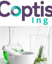 Coptis image 3