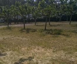 Camping Albret Plage image 9