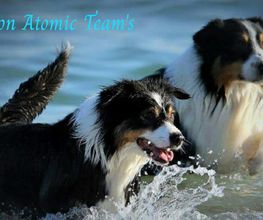 Pension Atomic Team's image 15