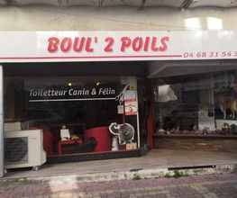 BOUL'2 POILS image 4