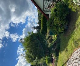 Haus- und Gartenservice - Mittelfranken Pavel Vostarek Bild 2