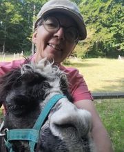 Alpaka Trekking Balmberg Tannenheim Bild 2