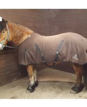 Der kleine Pferdeladen Bild 8