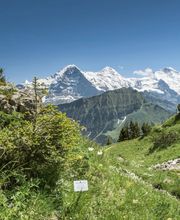 Hotel Du Nord AG Bild 14