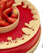 Marc Verdant image 14