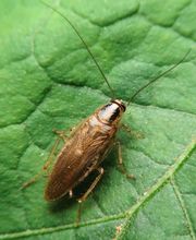 Logicomed Sagl Bild 5