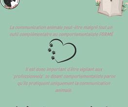 Equi'Canis Comportement image 5