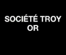 Société Troy Or image 1