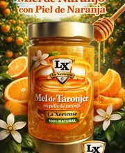 LA XERTENSE imagen 5