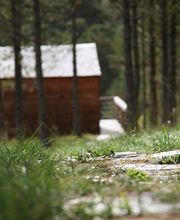 Terre Des Baronnies image 14