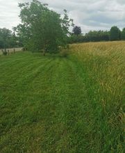 Les 4 Saisons image 1