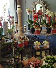 Les Fleurs D'Inès image 1