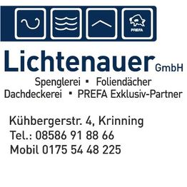 Lichtenauer Albert