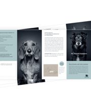 Werbeagentur concept your design Bild 27