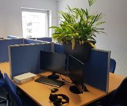 Arbeitsplätze mit blauen Trennwänden, 2 Bildschirmen, Tastatur, Maus und Headset. Schöne, grüne Zimmerpflanze auf den Trennwänden.