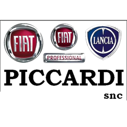 Auto Piccardi logo