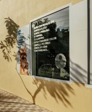 Mökai Mascotas imagen 17