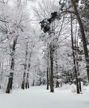 Hôtel Le Saint-Jean image 15