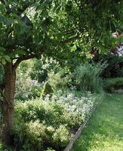 Hanspeter Müller Gartenbau GmbH Bild 8