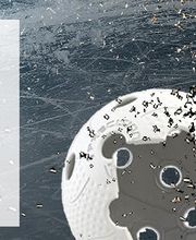 Interhockey AG Bild 5