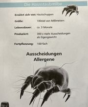 Hyla - Klara Denzler Bild 7