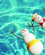 PISCINES ET PAYSAGES DE FRANCE image 12