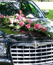 Blumen Rosenrot Bild 1