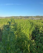 NutraPosuna imagen 6