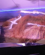 Camping Brasserie les Argousiers image 6