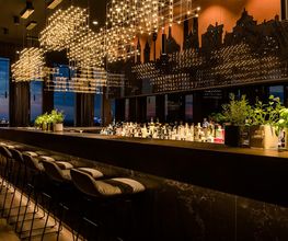 The Cloud One Hotel Nürnberg - Bar