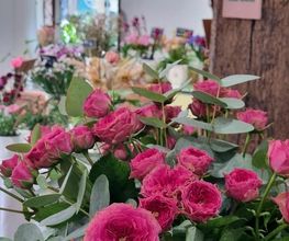 La Petite Marchande de Fleurs image 14