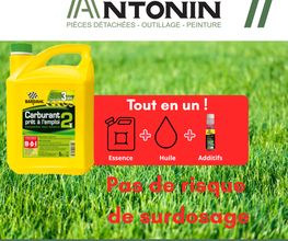 Antonin image 3
