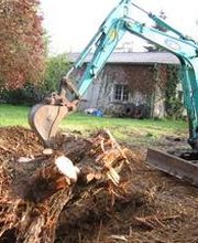 Bouche Nicolas image 20