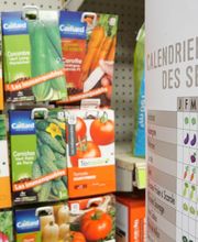 natera - Durenque image 1