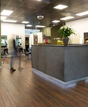 HAARE mittmann Bild 1