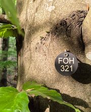 FriedWald Friolzheim Bild 3