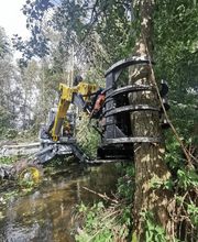 Baum & Forst Tiege Bild 2