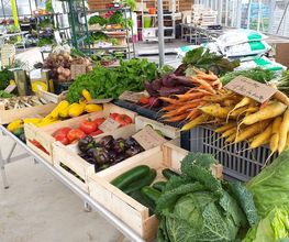 Le Saint Horticulture image 6