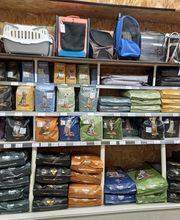 AmaitaVet Clínica Veterinaria imagen 11