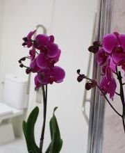 Residencia de Ancianos Parla, Madrid | VITALIA HOME imagen 6