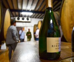 Sidra Riestra imagen 13