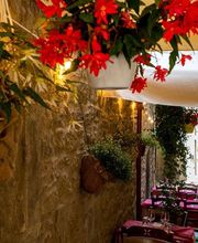 Gallery Professionale